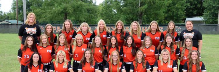 Palmyra Softball banner
