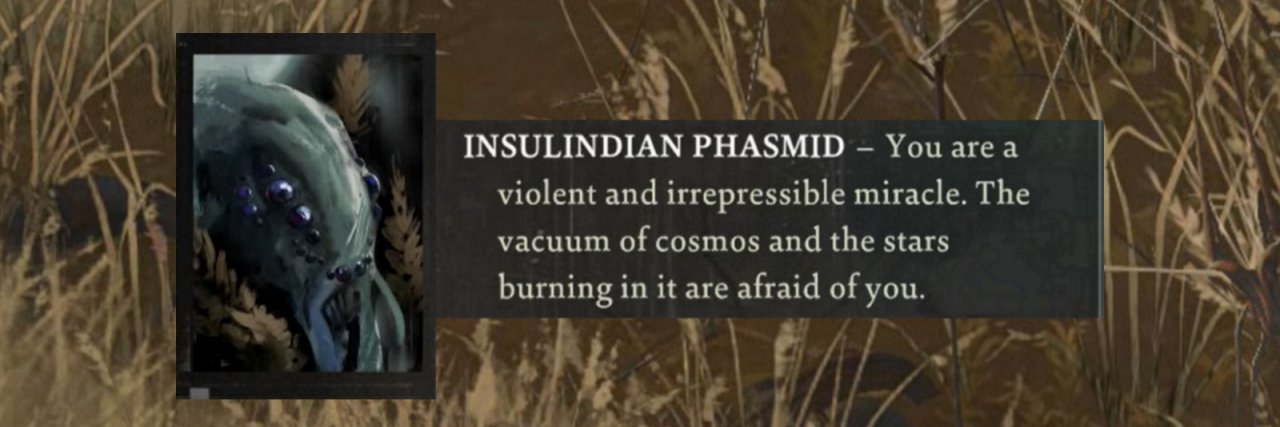 Kaiserium's profile banner image