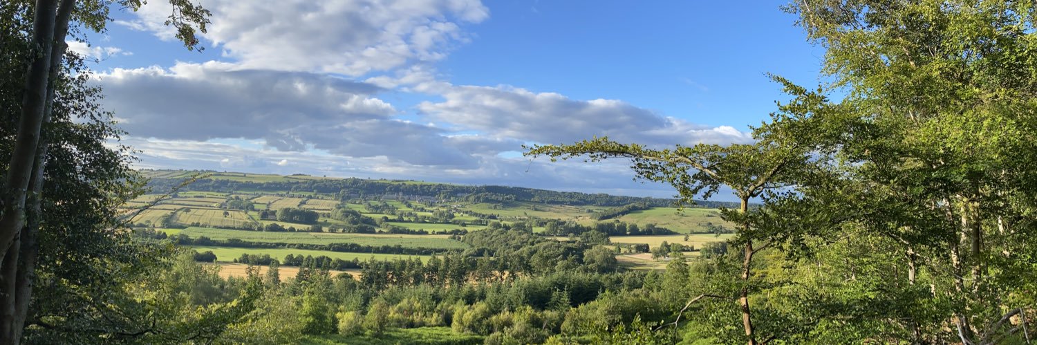 EvansFran's profile banner image