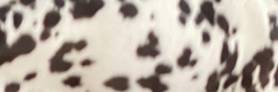 edufdzz's profile banner image