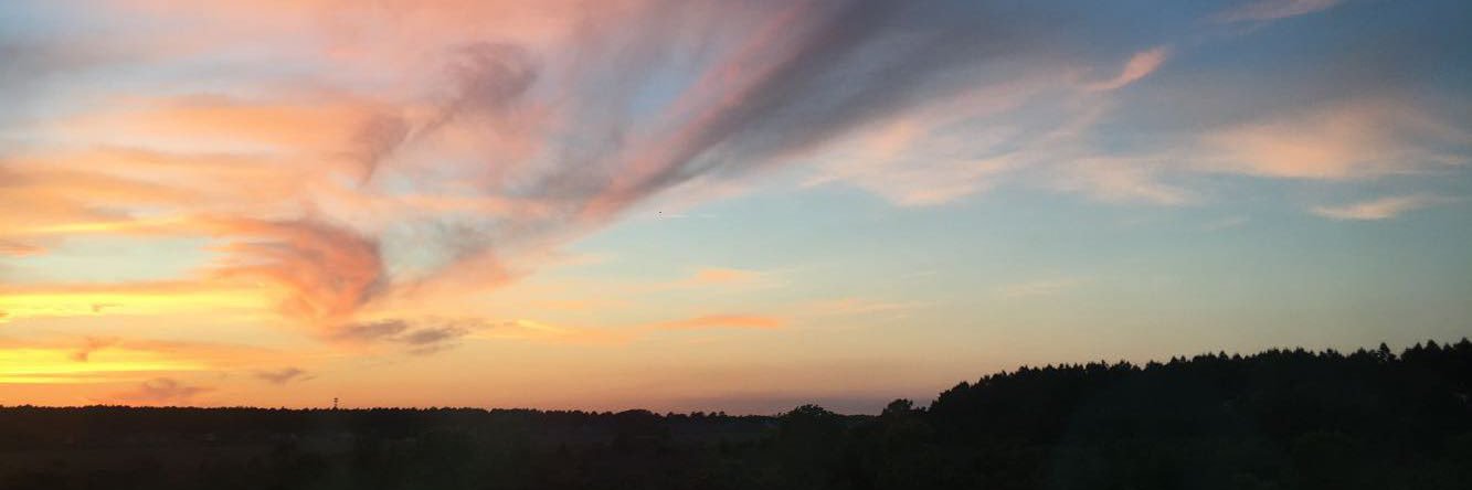 haley daugherty banner