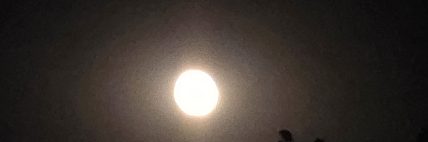 justplainlin's profile banner image