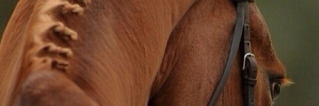 99Bronz's profile banner image