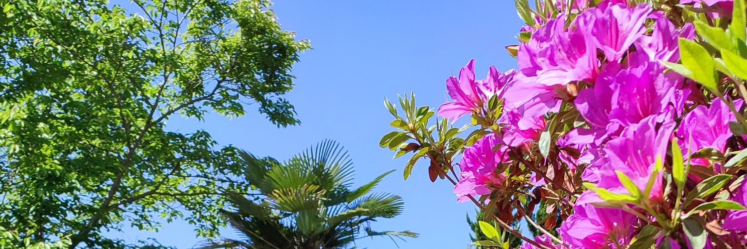 sakiLLL's profile banner image