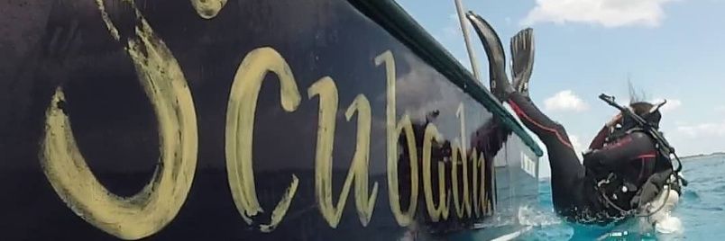 avezimbron's profile banner image