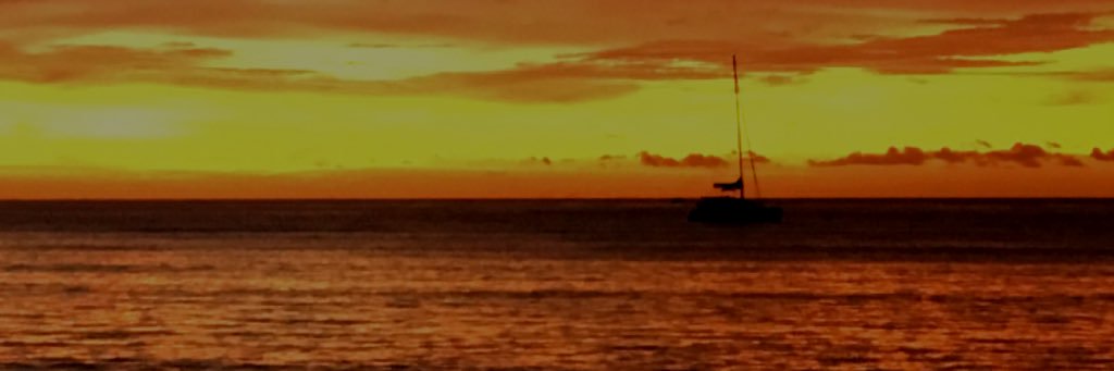 Dr. Matt Asaro banner