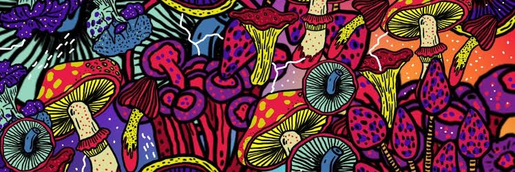 SOHuiuis's profile banner image