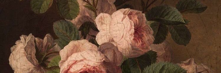 🦋 banner