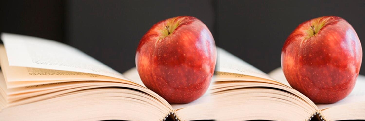 Alejandra Peralta banner