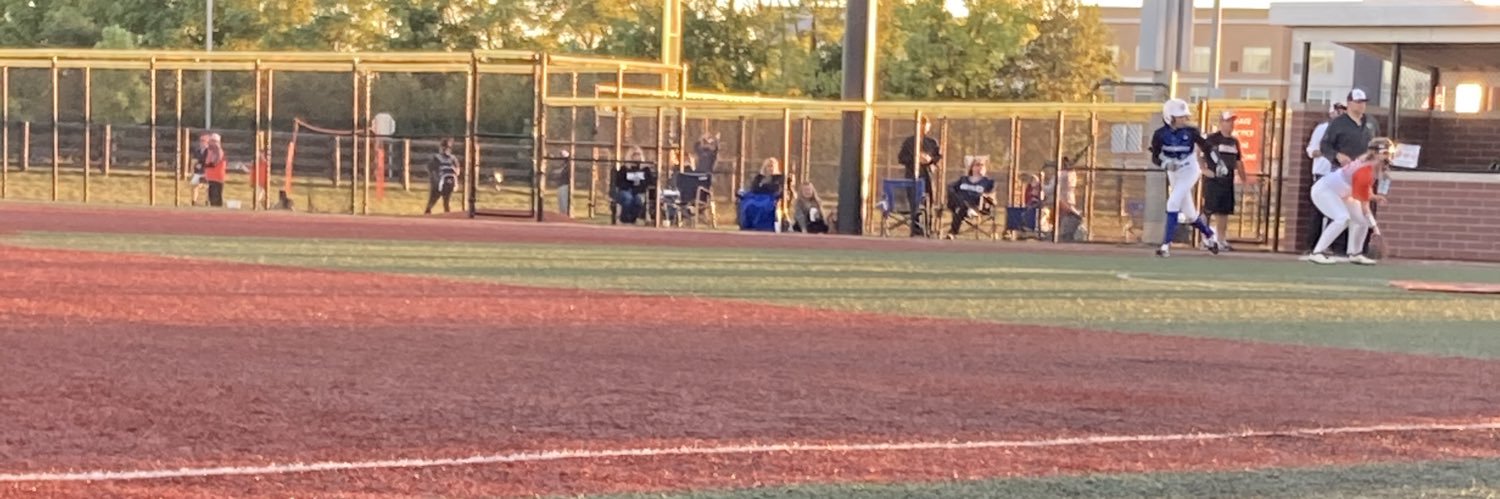 Johnson Softball Training banner