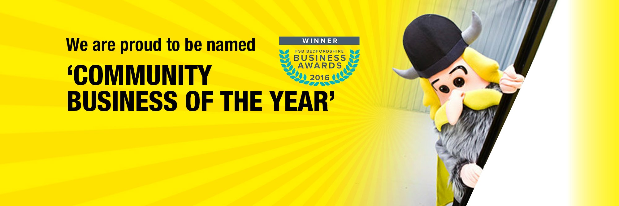 Viking Self Storage banner