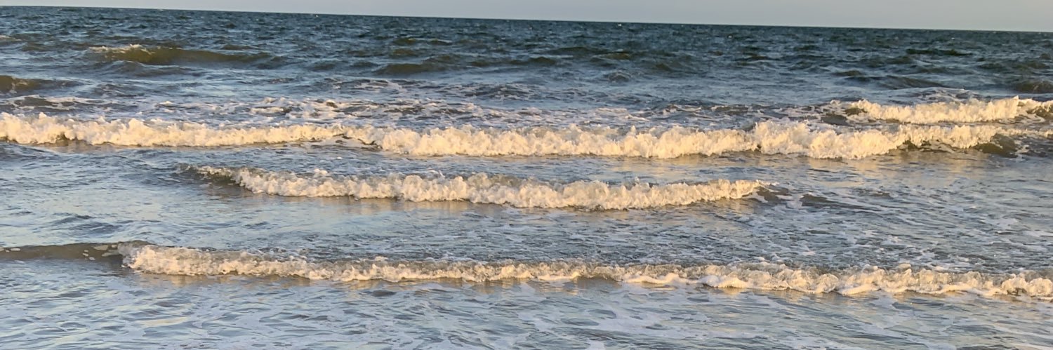 v banner