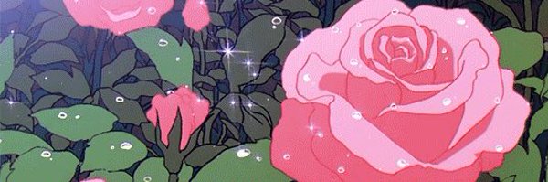 pineapplefae Profile Banner