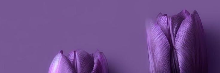 M_Manzi_'s profile banner image