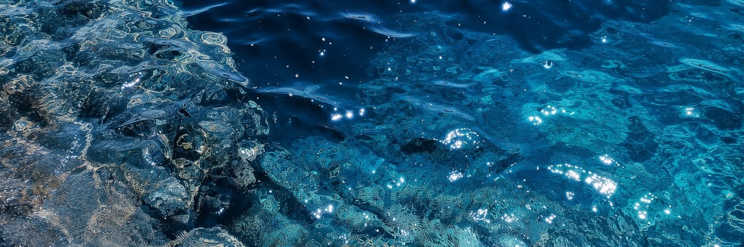 `` Otter `` banner