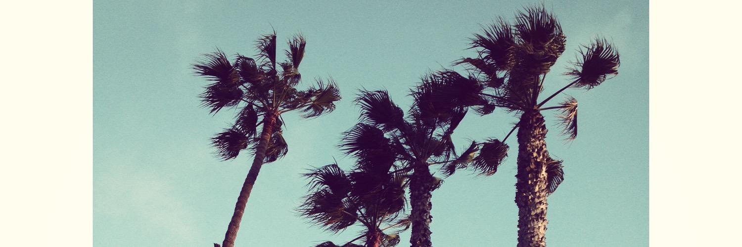 TheRheaJones's profile banner image