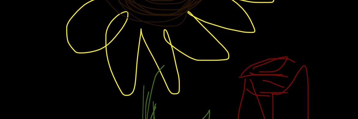 serinaa banner