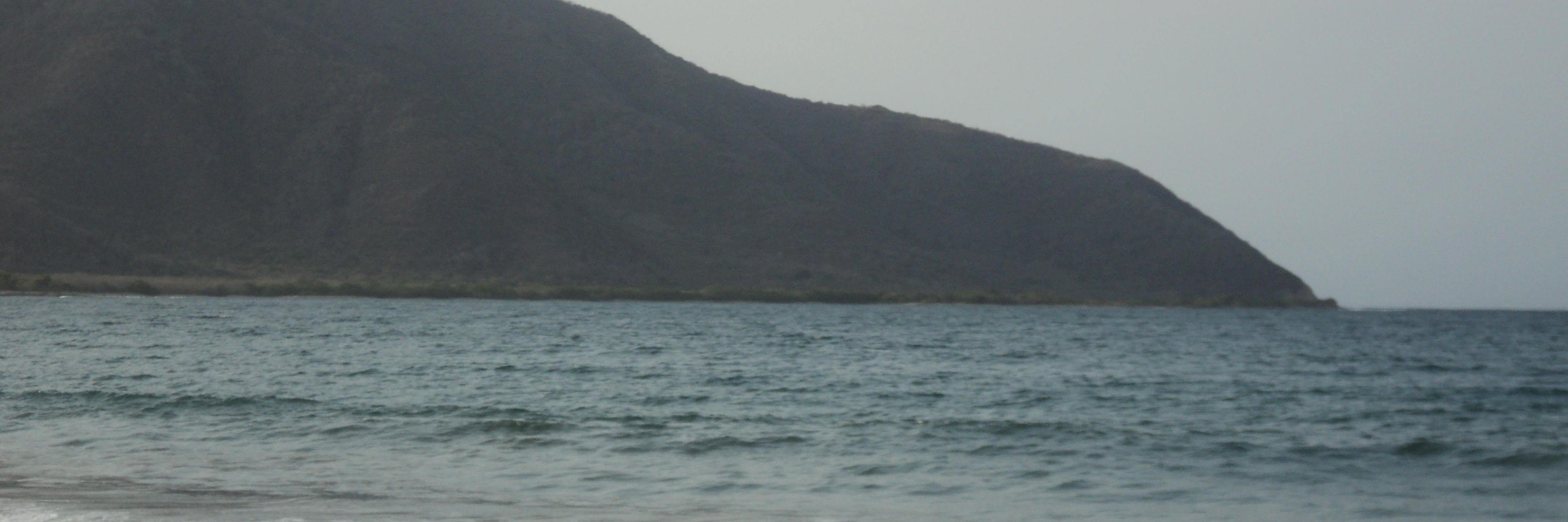 spescalona's profile banner image