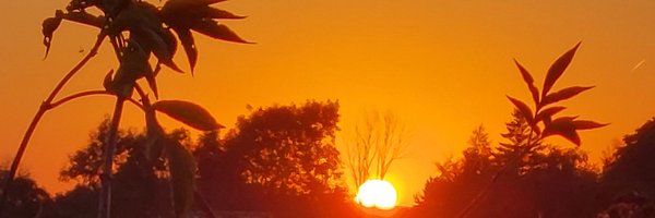 DavidBird1982 Profile Banner