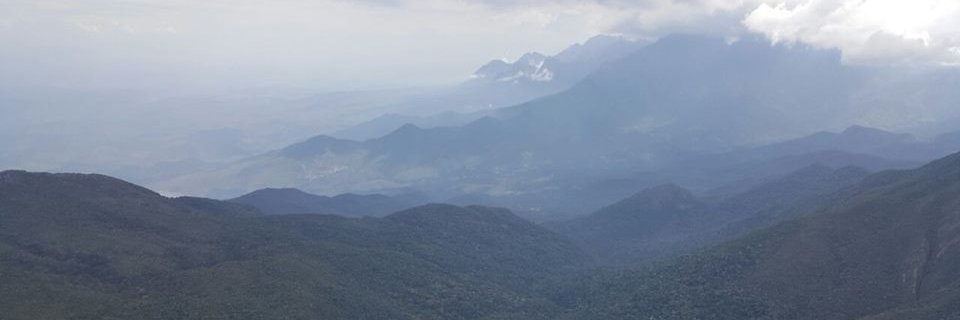 Renan_Teo's profile banner image
