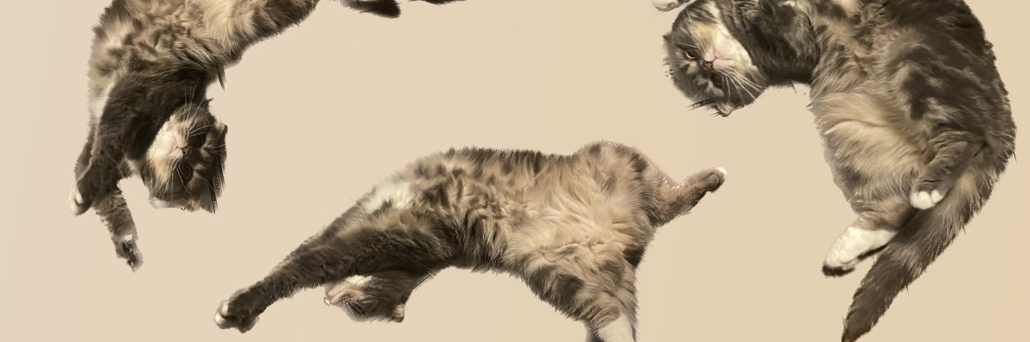 misa banner