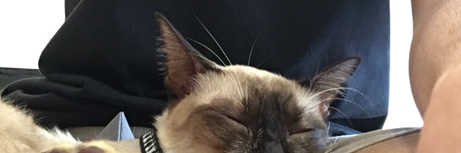 imtjust's profile banner image