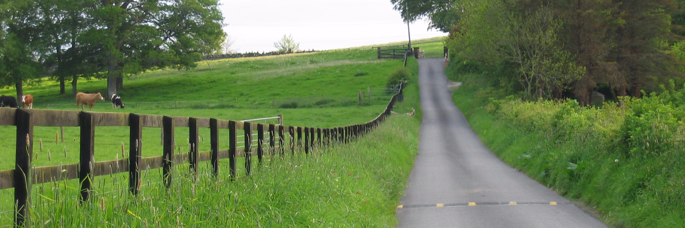 carme escales banner