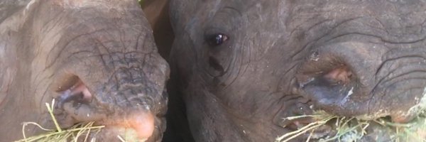 AmandaLou3 Profile Banner