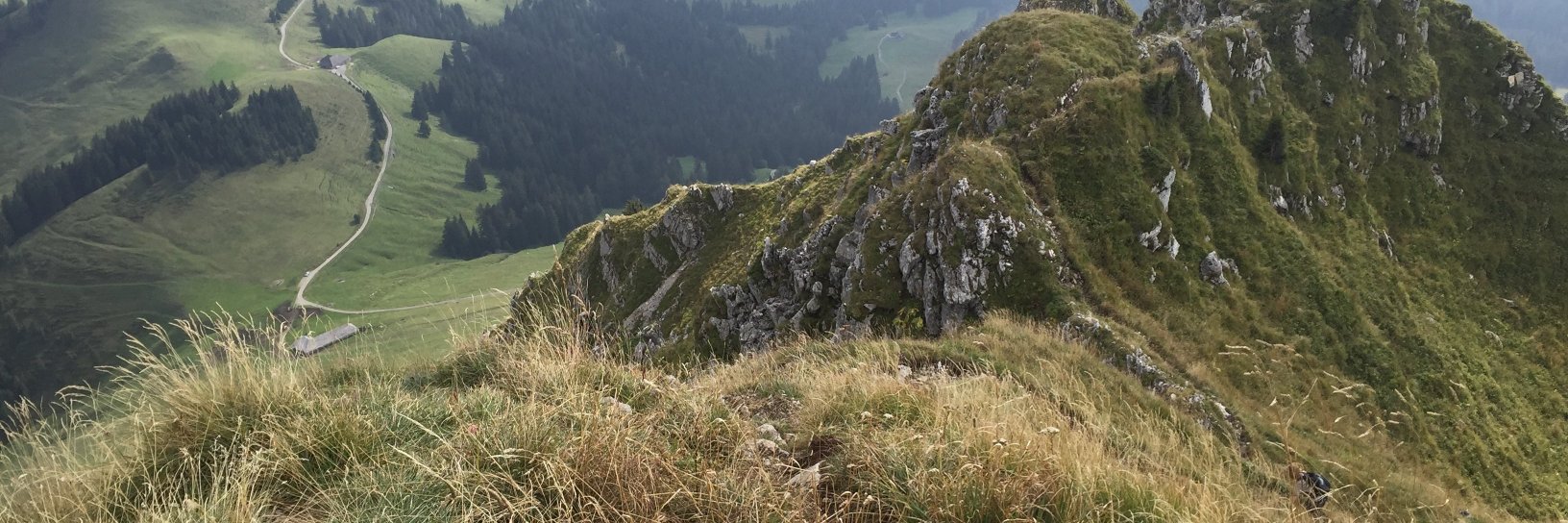 Gilbert Greub  banner