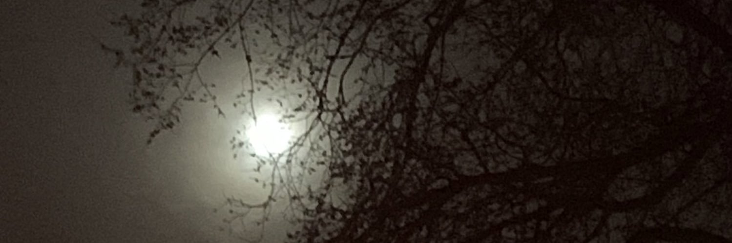 DanielaTobler's profile banner image