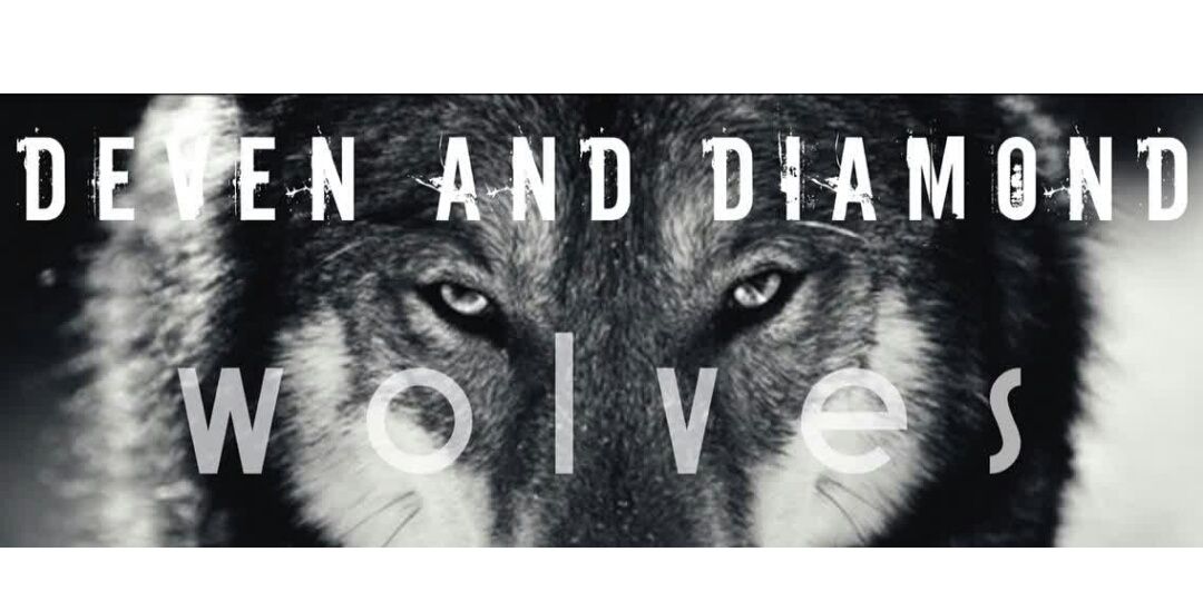 ilham_abdulla's profile banner image