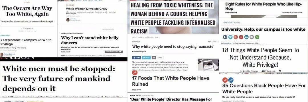 Western Supremacist 🏳 banner