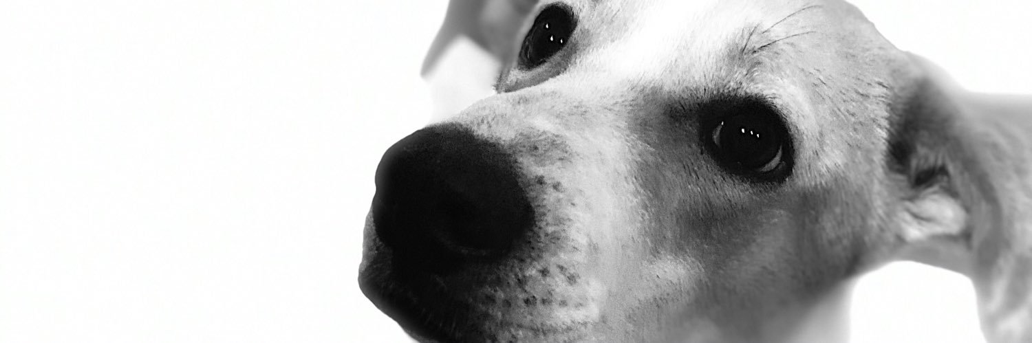 JaviMarmas's profile banner image
