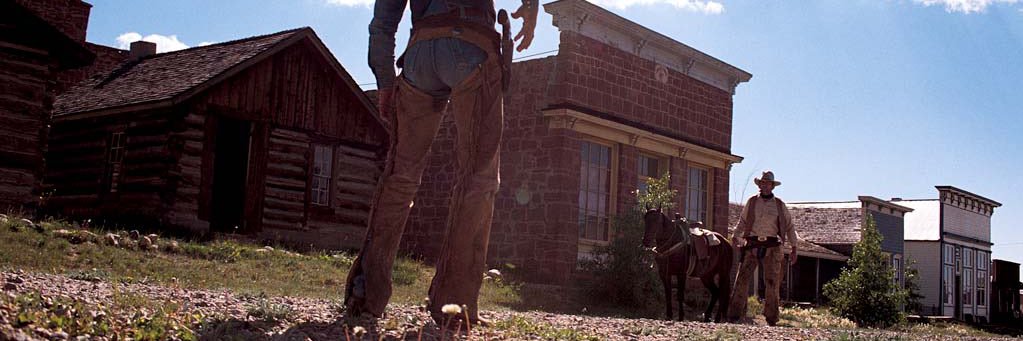 swamptranslator's profile banner image