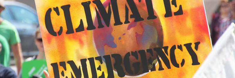 AfricaForRenewablesInClimateAction banner