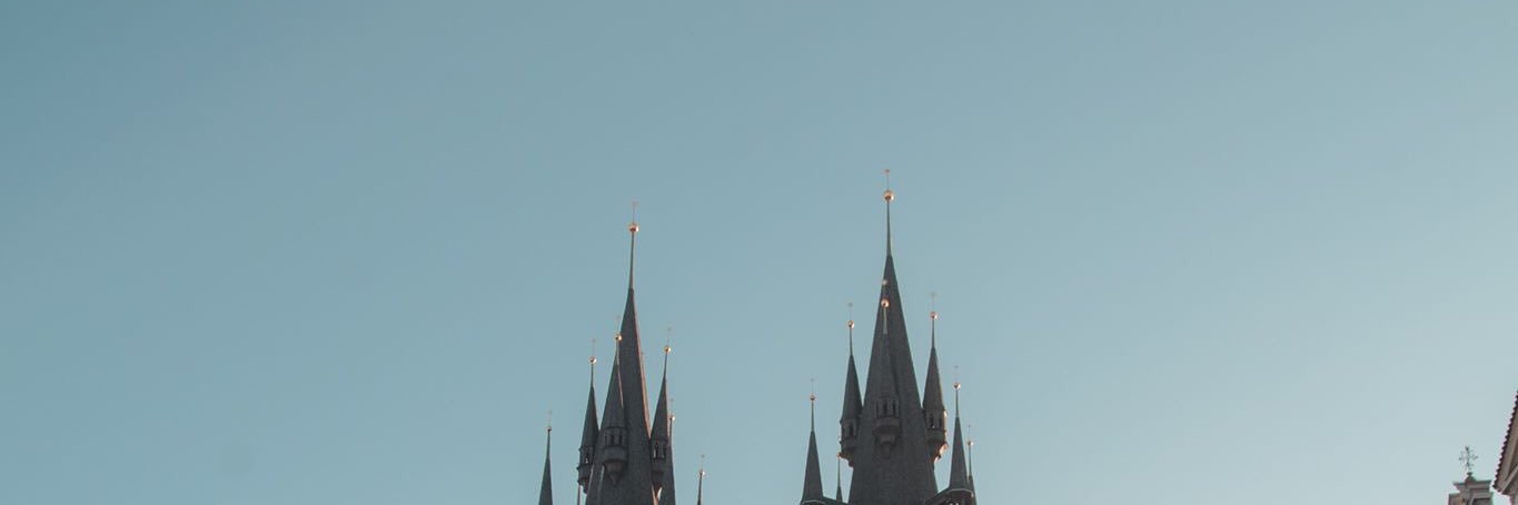 Paja banner