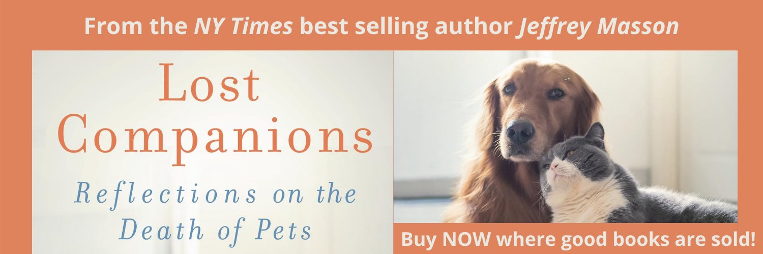 jeffreymmasson's profile banner image