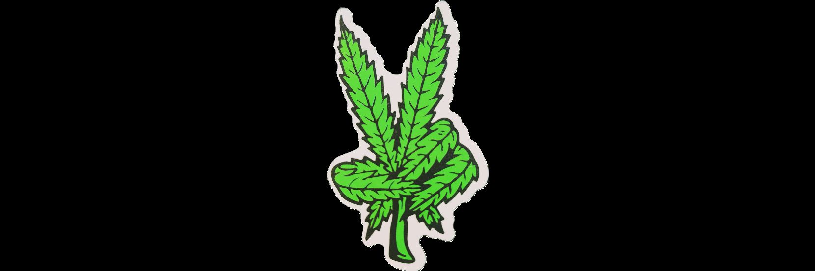 ClassyHippy✌🏼 banner