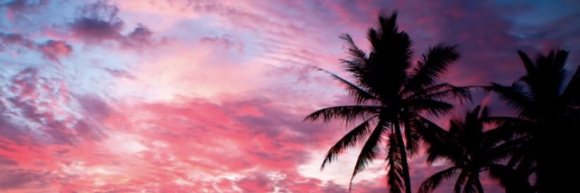 zoeknights's profile banner image