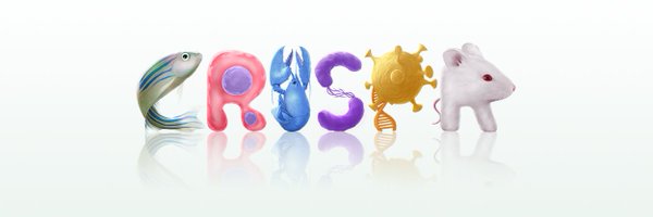 ubigene Profile Banner