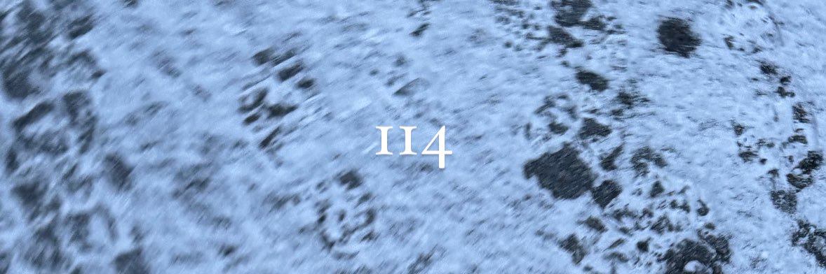 Nbunie's profile banner image