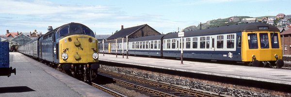 ovsbulleid Profile Banner
