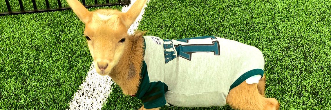 Wentzstan11's profile banner image