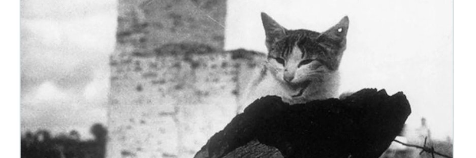 AKENATON 4 üNÇÜ firavun. banner