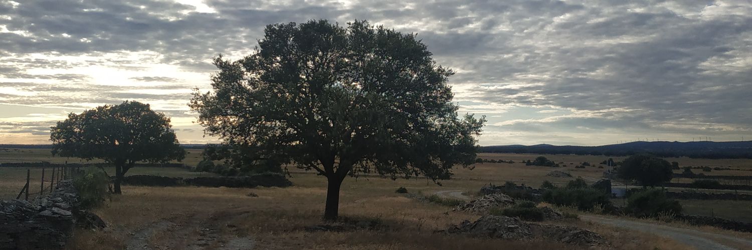 AlexSanchezM12's profile banner image