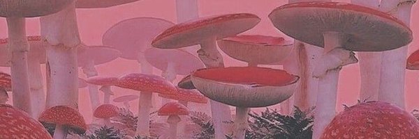 mushroom Profile Banner