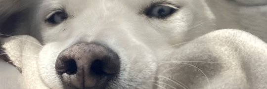 Dztyray's profile banner image