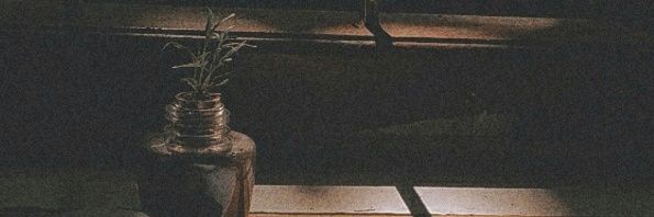 forensicdarsana's profile banner image