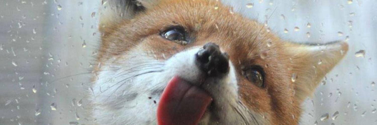 gabilin_OS's profile banner image