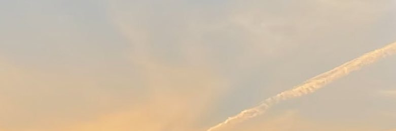 CoolPollen's profile banner image